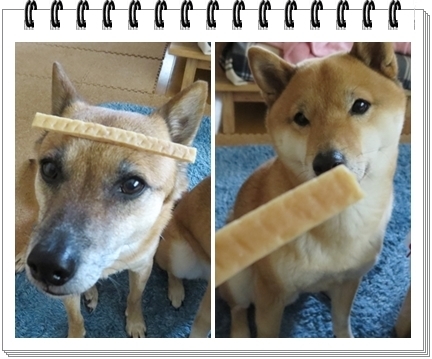 food.jpg